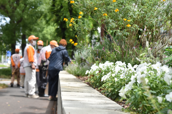 みなとまちガーデンプロジェクト2020