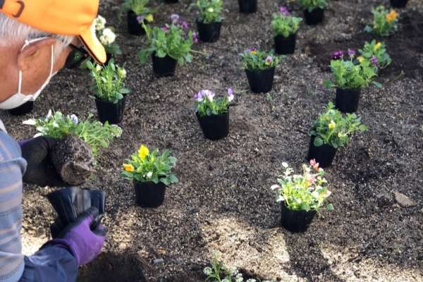 みなとまちガーデンプロジェクト